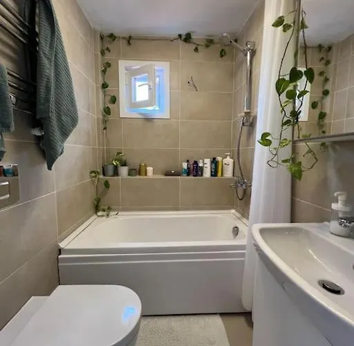 Cozy Place With Bosphorus View